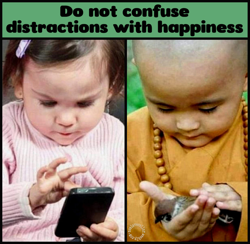 Il ne faut pas confondre les distractions avec le bonheur