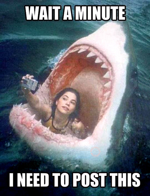 Attends une minute, je dois poster ça (selfie dans la gueule d'un requin géant)