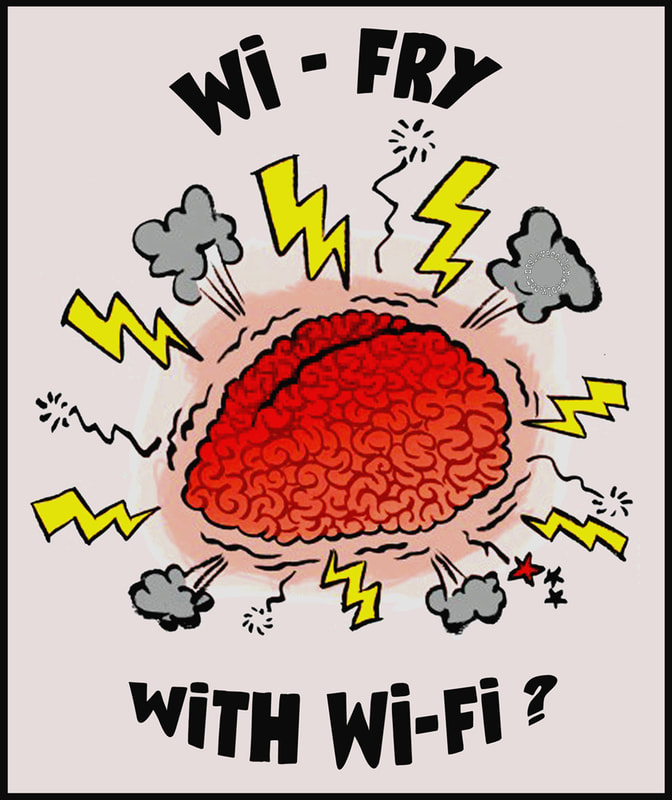 Wi-fry avec le Wi-fi? - ou pourquoi se griller le cerveau avec les micro-ondes?