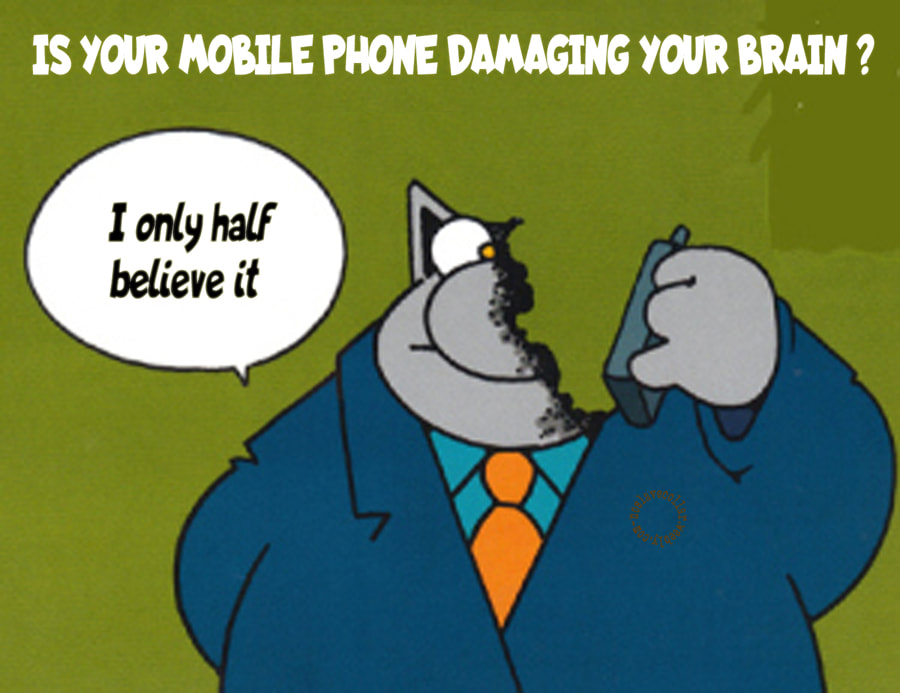 Votre téléphone portable endommage-t-il votre cerveau? -Je ne le crois qu'à moitié