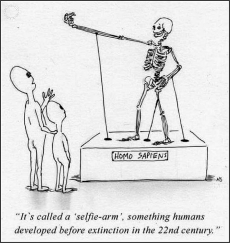 C'est ce qu'on appelle un "bras à selfie", une chose que les humains ont développé avant leur extinction au 22ème siècle.