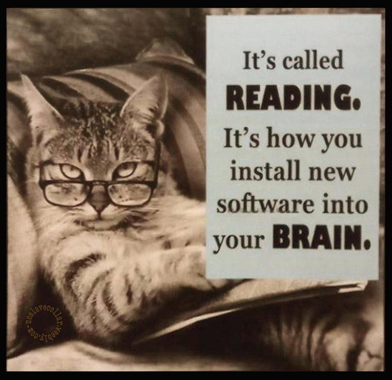 Ça s'appelle la lecture, c'est comme ça que l'on installe un nouveau logiciel dans le cerveau.