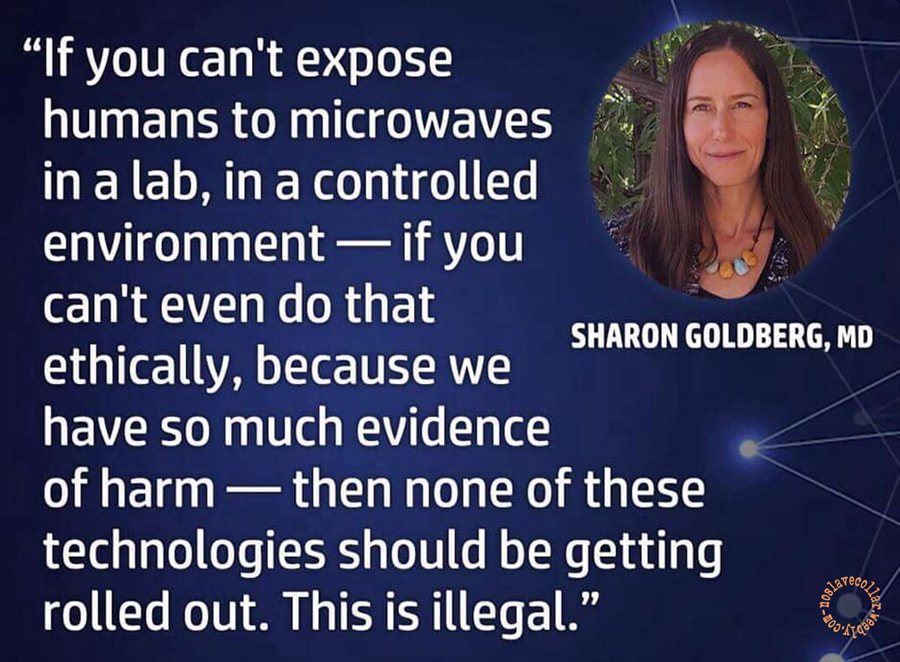 "Si vous ne pouvez pas exposer les humains aux micro-ondes dans un laboratoire, dans un environnement contrôlé - si vous ne pouvez même pas le faire de manière éthique, car nous avons tellement de preuves des dommages - alors aucune de ces technologies ne devrait être déployée. Cela est illégal." - Sharon Goldberg, M.D.