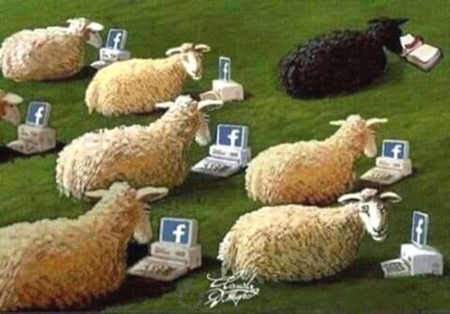 Moutons blancs suivant d'autres moutons blancs sur Facebook, mouton noir lisant un livre et pensant par lui-même.