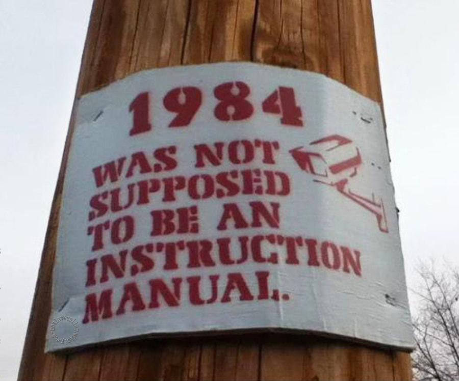 1984 n'était pas censé être un manuel d'instructions.