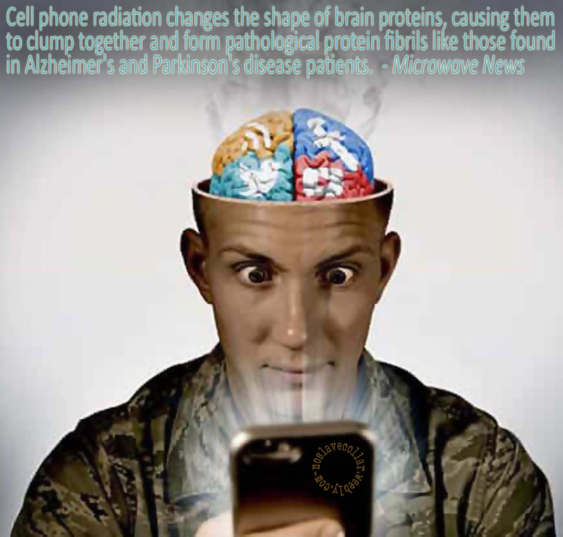 Le rayonnement des téléphones cellulaires modifie la forme des protéines du cerveau, les poussant à s'agglutiner et à créer des fibrilles protéiques pathologiques comme celles que l'on trouve chez les patients atteints de la maladie d'Alzheimer et de Parkinson. - Microwave News
