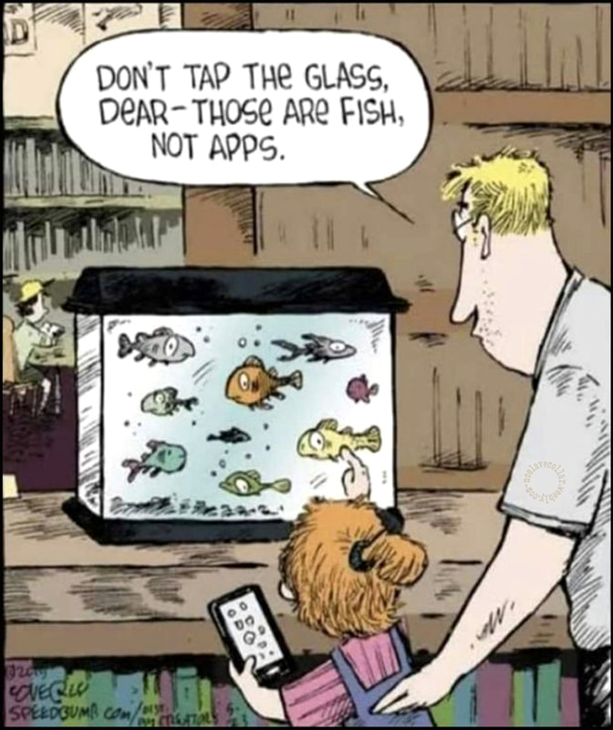 Ne tape pas sur le verre, chéri, ce sont des poissons, pas des applis.