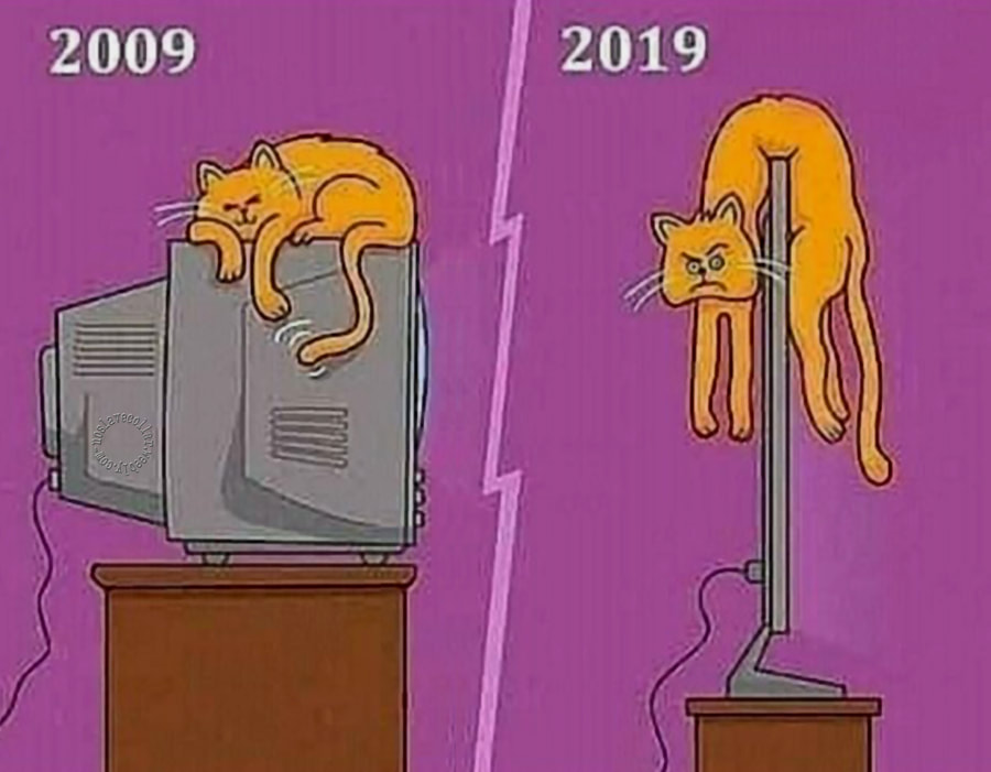 Écran TV, avant et maintenant... le chat n'est plus à son aise!