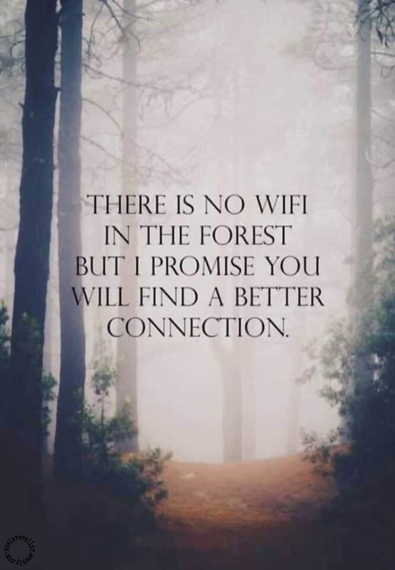 Il n'y a pas de Wifi dans la forêt mais je vous promets que vous trouverez une meilleure connexion