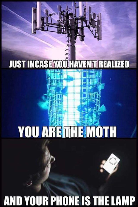 Au cas où vous ne l'avez pas remarqué - Vous êtes le papillon de nuit - et votre téléphone est la lampe.