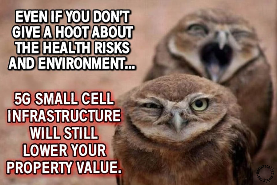 "Même si vous ne voulez rien savoir des risques pour la santé et de l'environnement... l'infrastructure des petites cellules 5G réduira quand même la valeur de votre propriété."