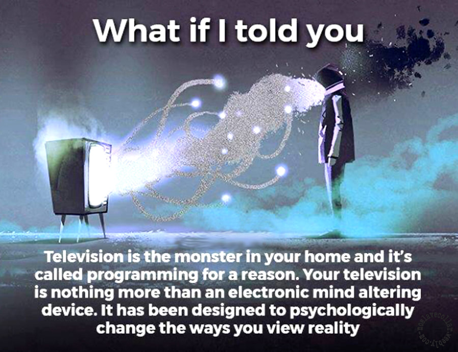 Et si je vous disais que la télévision est un monstre sous votre toit et que l'on parle de "programmes" pour une bonne raison. Votre télévision n'est rien d'autre qu'un appareil électronique pour modifier l'esprit. Elle a été conçue pour changer psychologiquement vos façons de voir la réalité