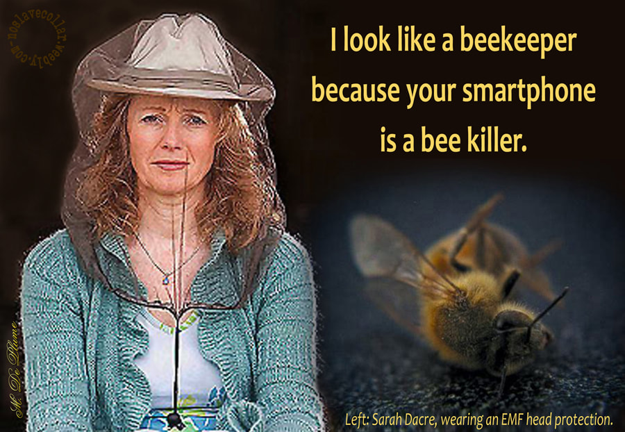"Je ressemble à un apiculteur parce que votre smartphone est un tueur d'abeilles." - Sarah Dacre, portant un filet de protection contre les CEM.