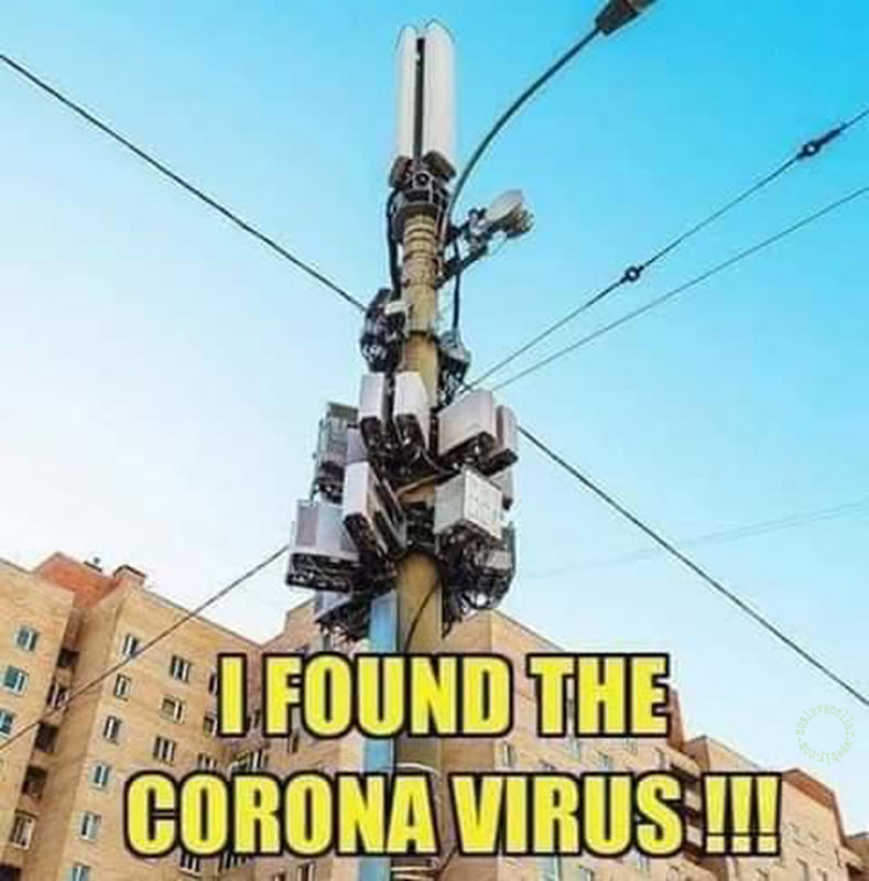 J'ai trouvé le corona virus!!!