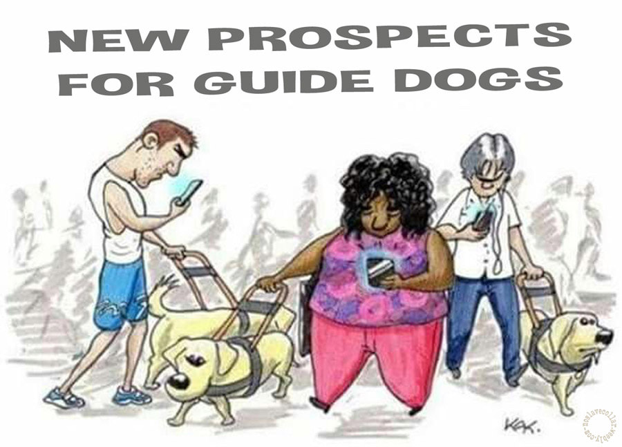 Un nouvel avenir pour les chiens d'aveugle