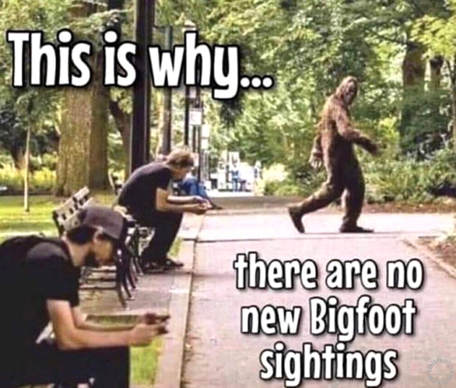 C'est pour ça qu'il n'y a plus de nouvelles observations de Bigfoot.