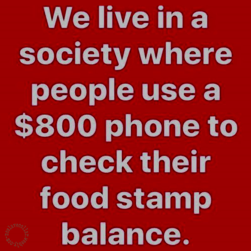 Nous vivons dans une société où les gens utilisent un téléphone portable de 800 dollars pour vérifier le solde de leurs coupons alimentaires.